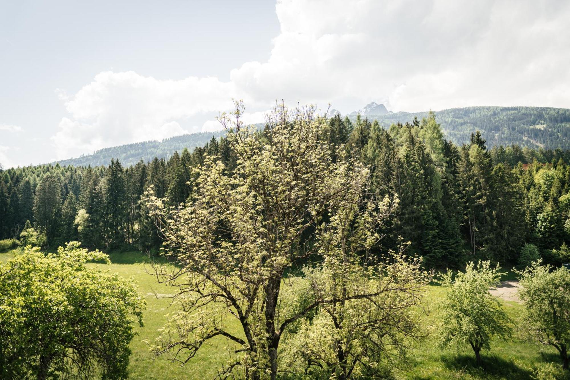 Edenhauserhof Neu Gotzens 外观 照片